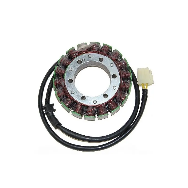 Lichtmaschine Motorrad anpassbar Original Electrosport Triumph