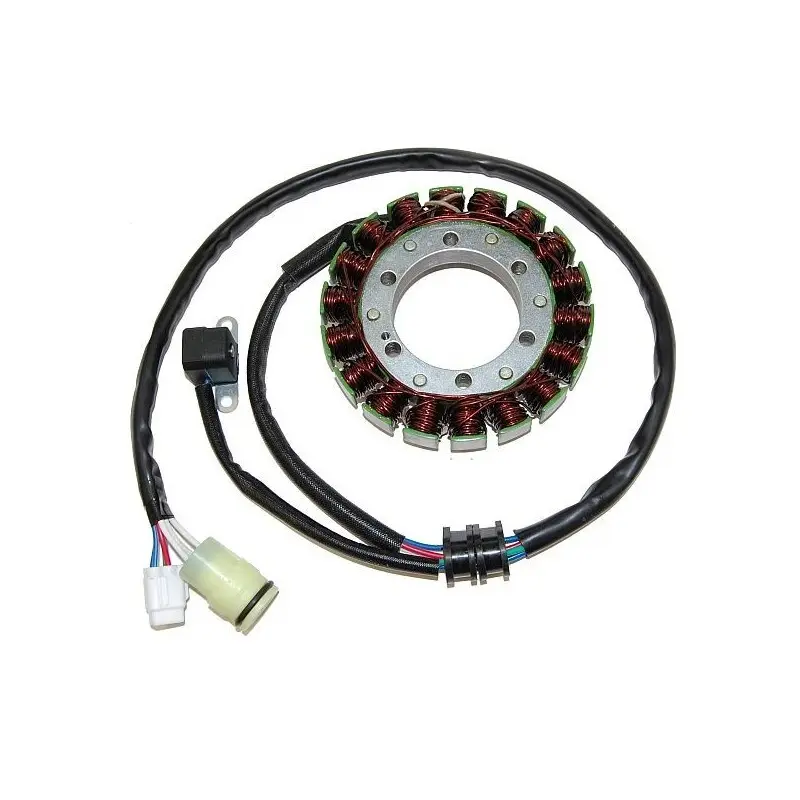 Lichtmaschine Motorrad anpassbar Original Electrosport Yamaha