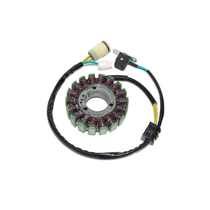 Lichtmaschine Motorrad anpassbar Original Electrosport Yamaha