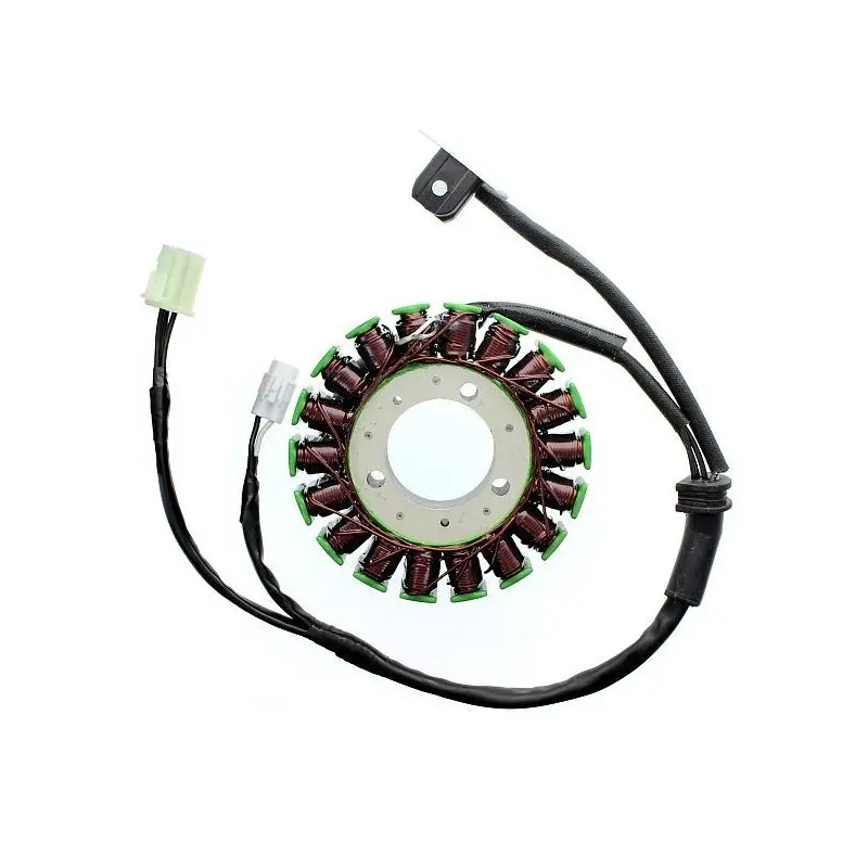 Lichtmaschine Motorrad anpassbar Original Electrosport Triumph