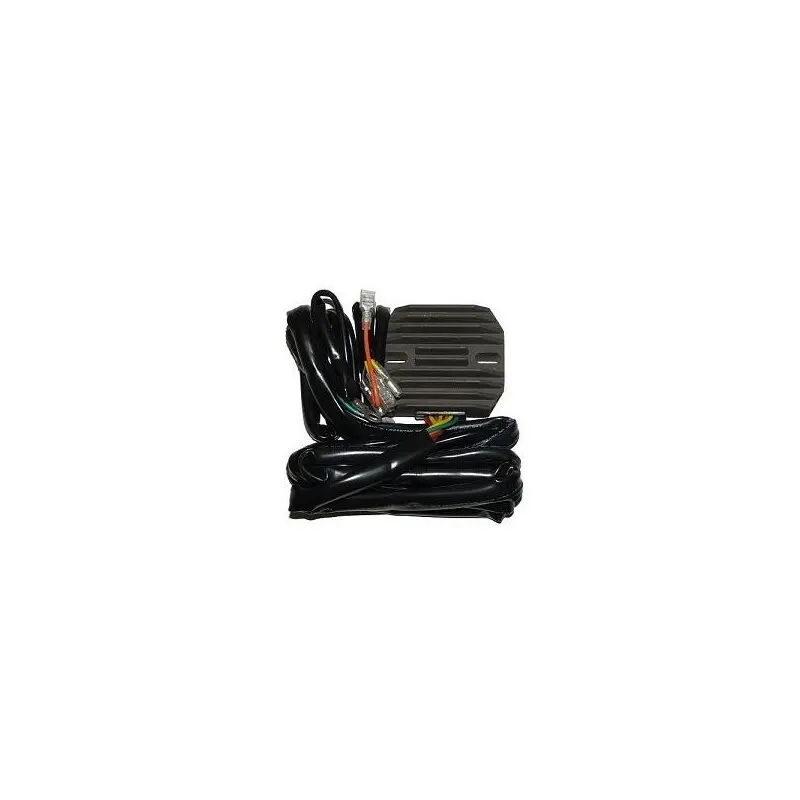 Anpassbarer Regler Electrosport Guzzi