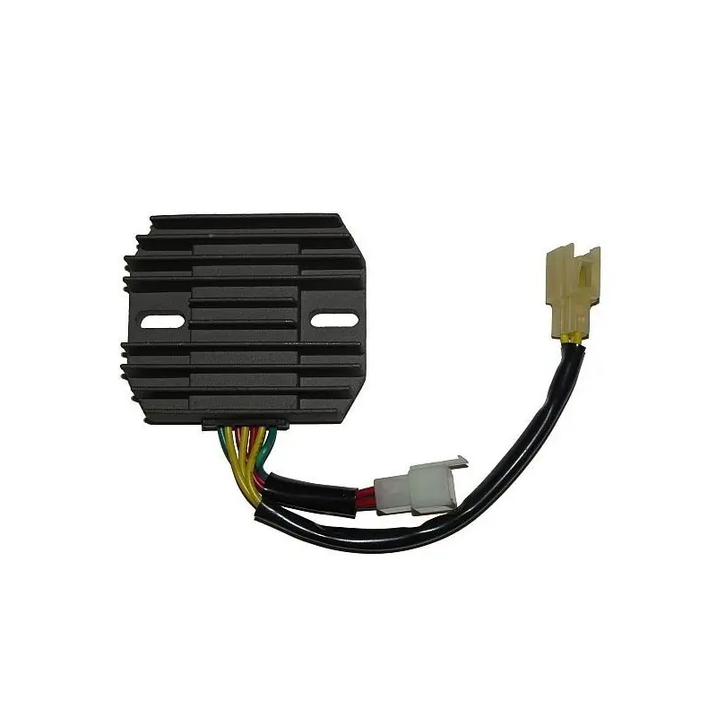 Anpassbarer Regler Electrosport Ducati
