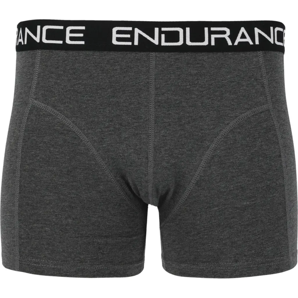 Boxer Endurance Norwich