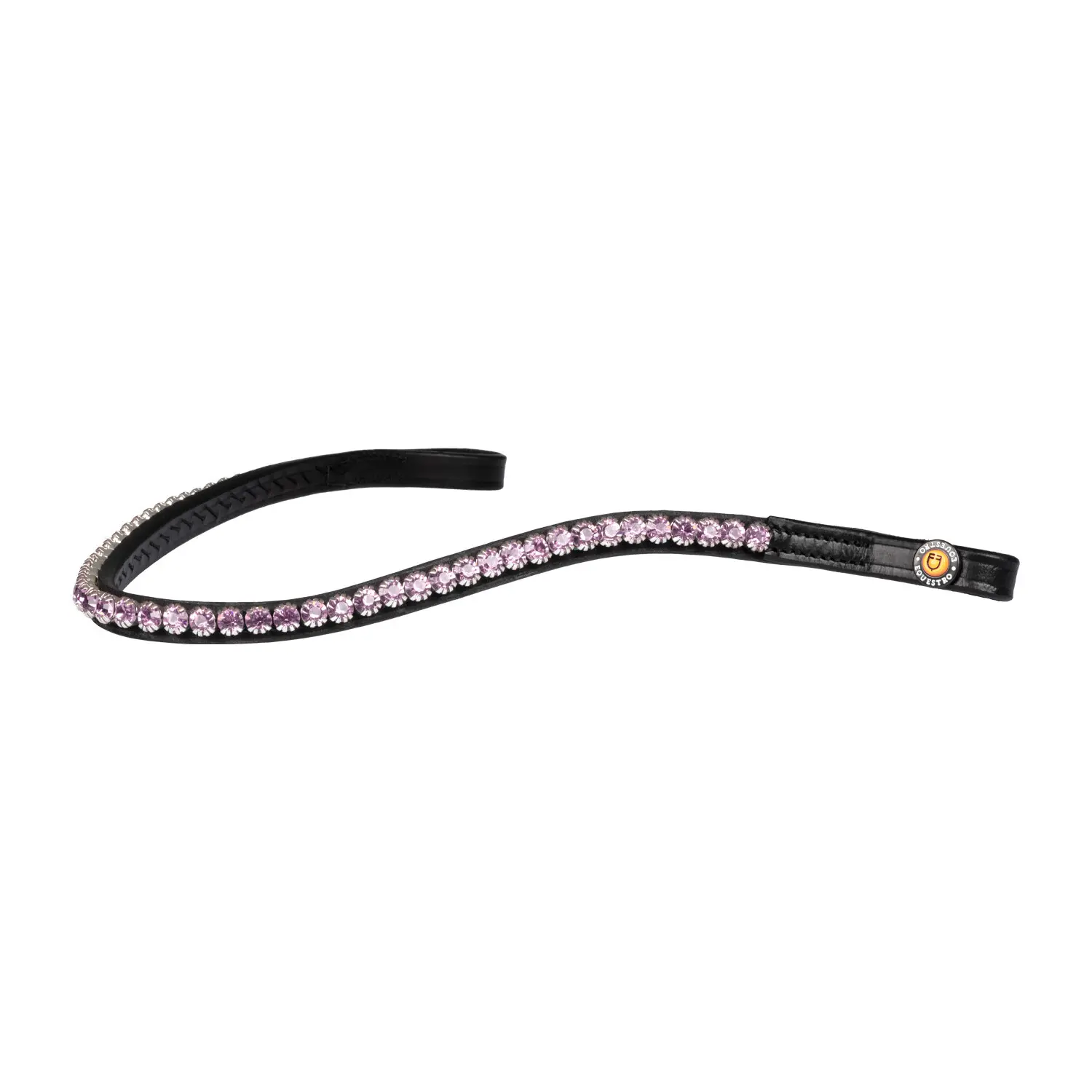 Frontal for horse Equestro