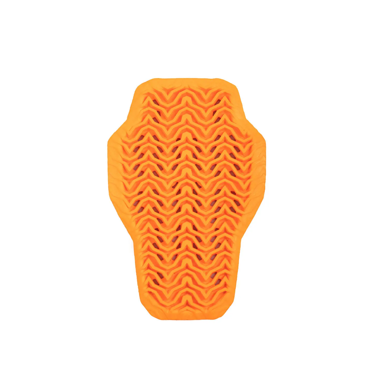 Back protector for horse riding Equestro