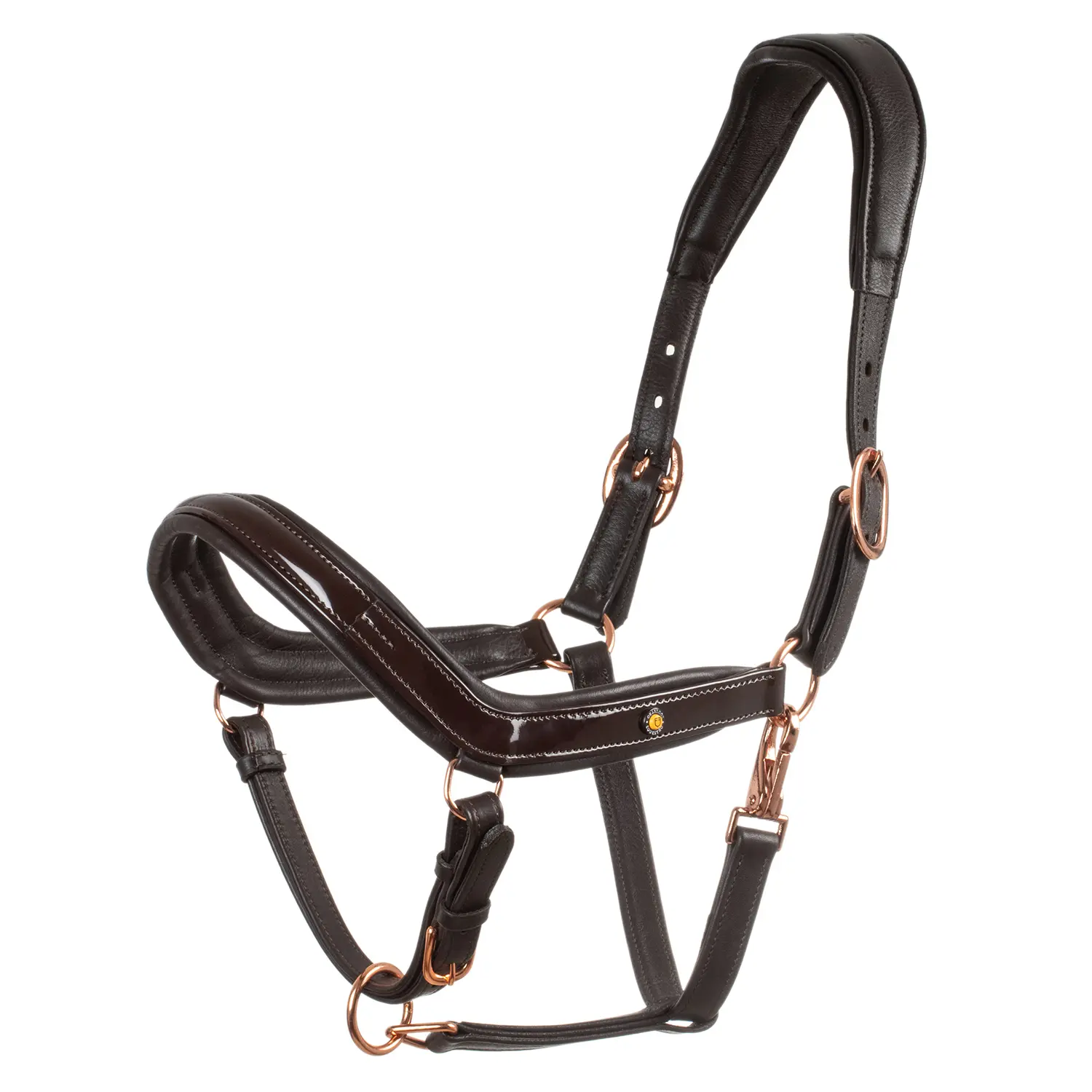 Polished leather reins for horses Equestro