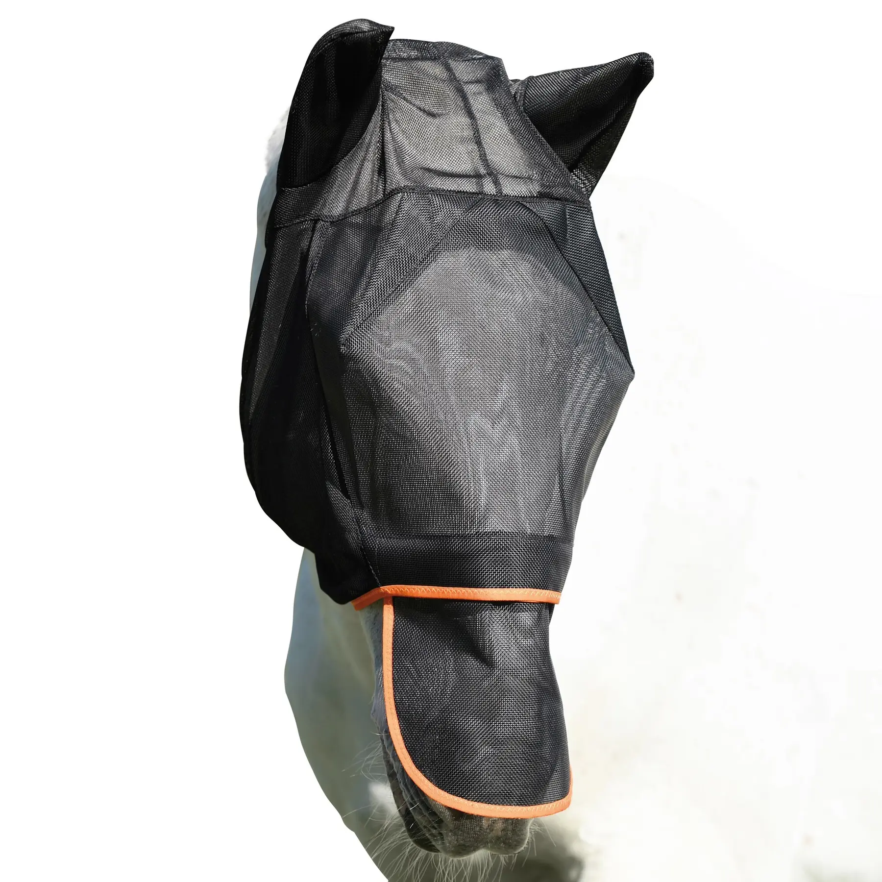 Anti-fly UV Cap Equilibrium