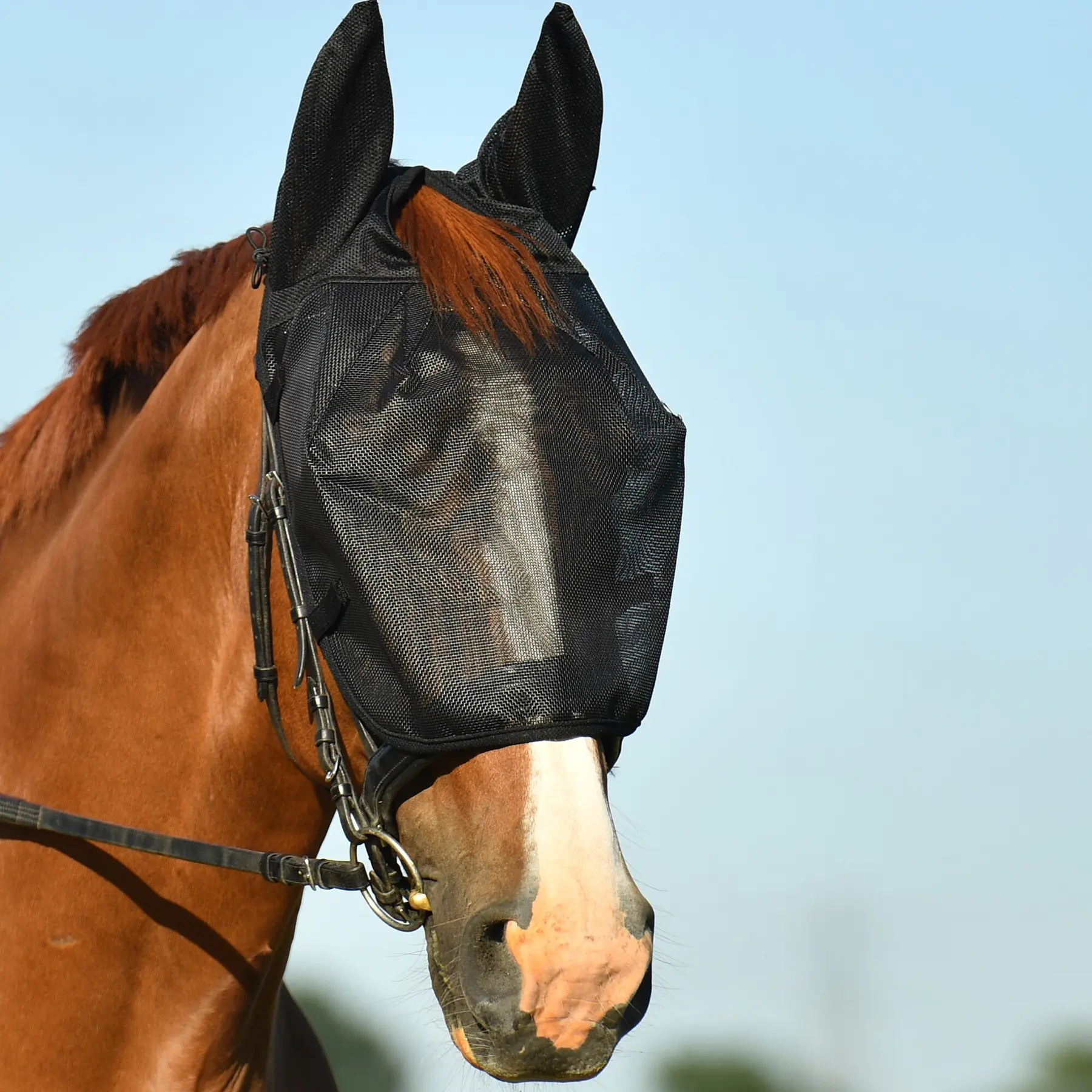 Work fly mask for horse Equilibrium
