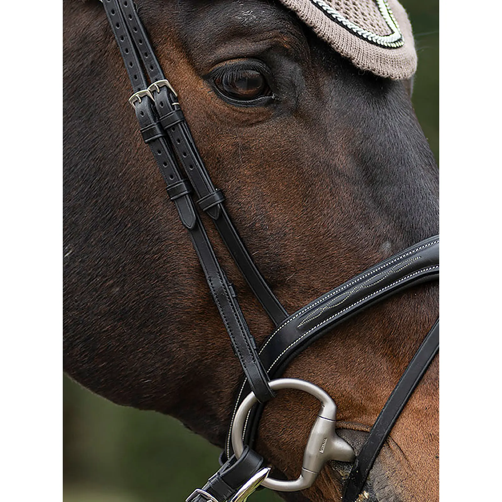 Flat horse mounts Equiline (x2)