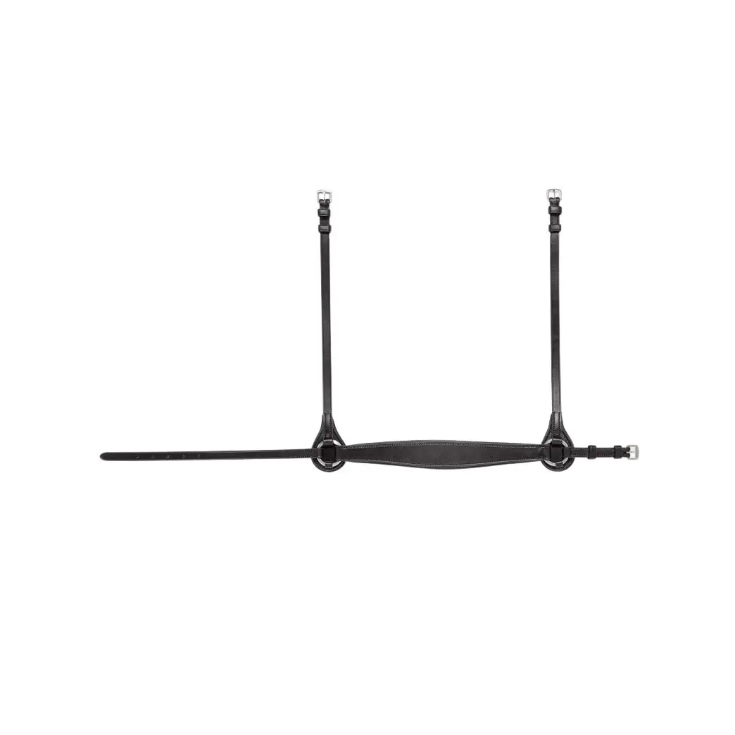 Hanoverian noseband horse Equiline