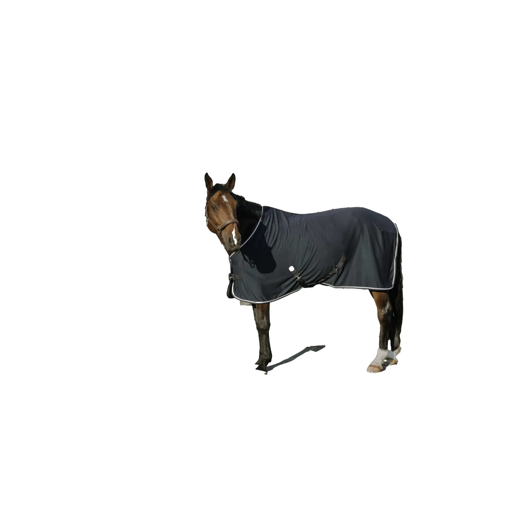 Camicia di asciugatura per cavalli Equithème Equithème Drycool
