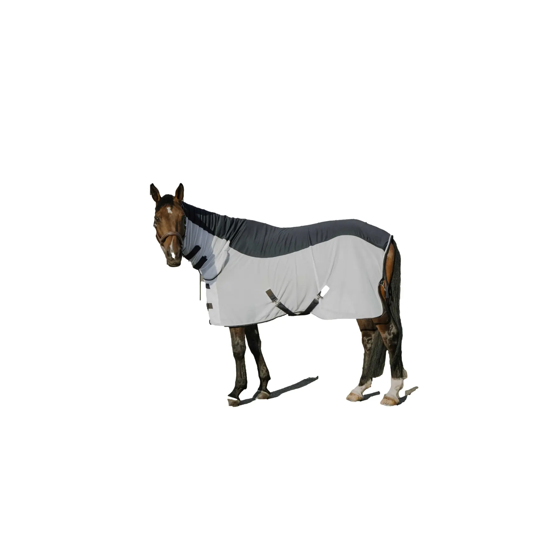 Coprimosche per cavalli Equithème Equithème Flycool Combo