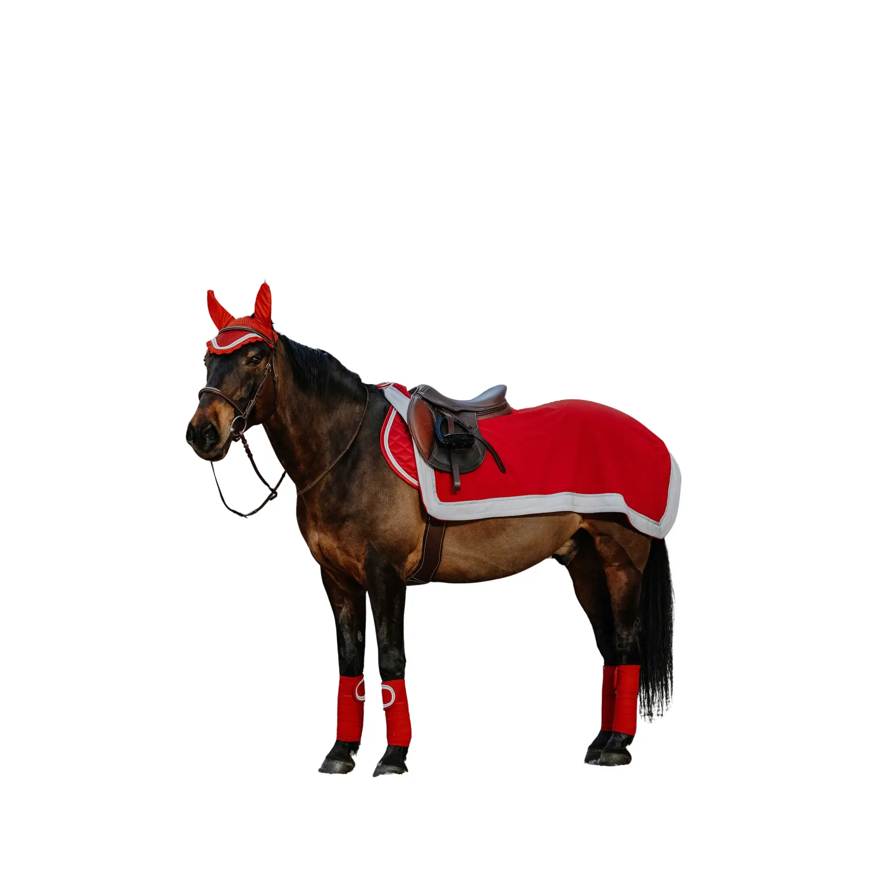 Coprireni per cavalli Equithème Xmas