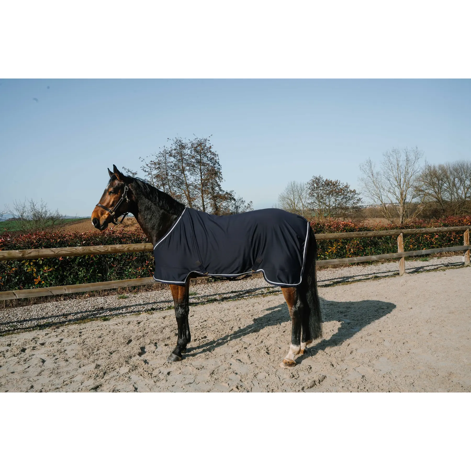 Hemd für Pferd Equithème Easyfit