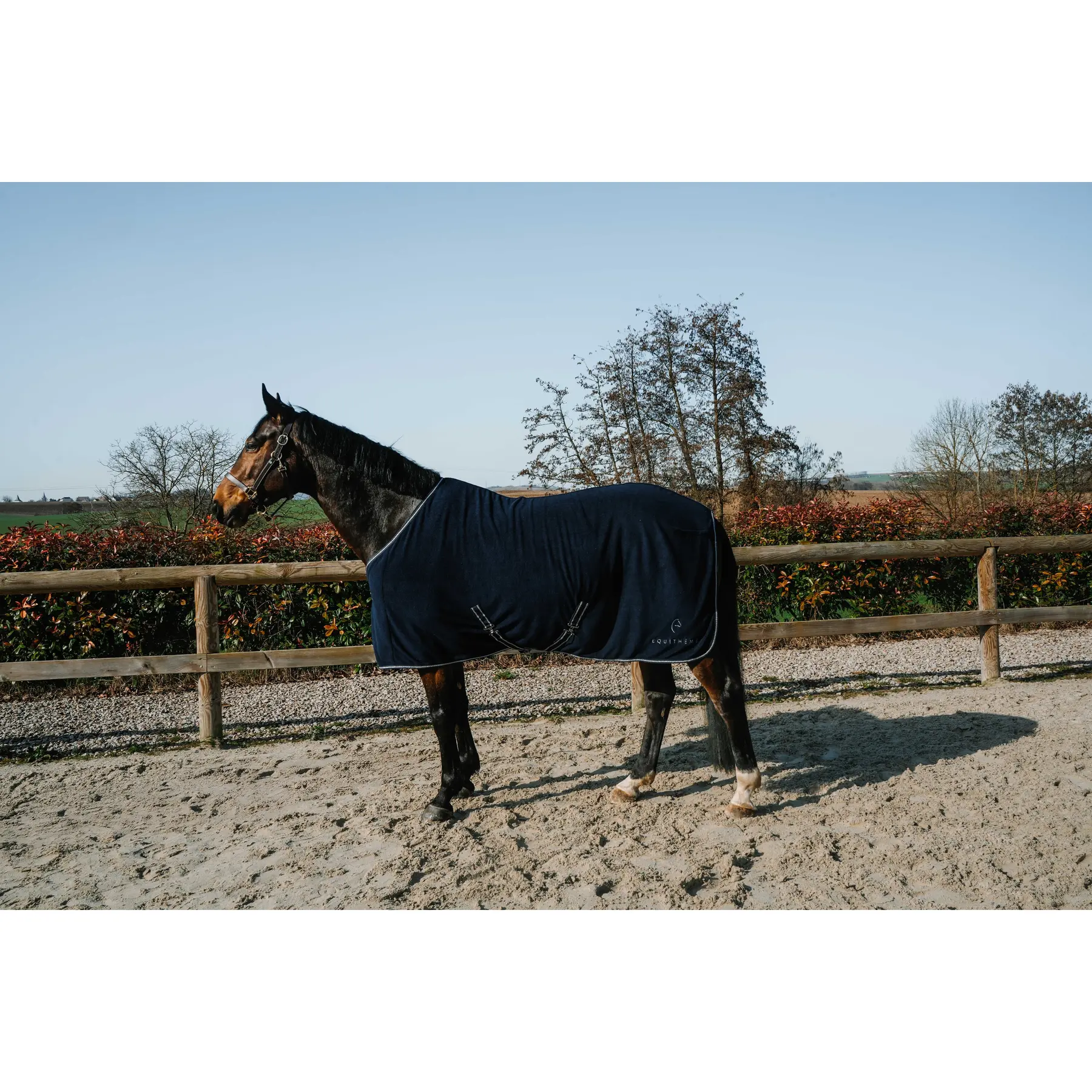 Hemd für Pferd Equithème EK-Glitter