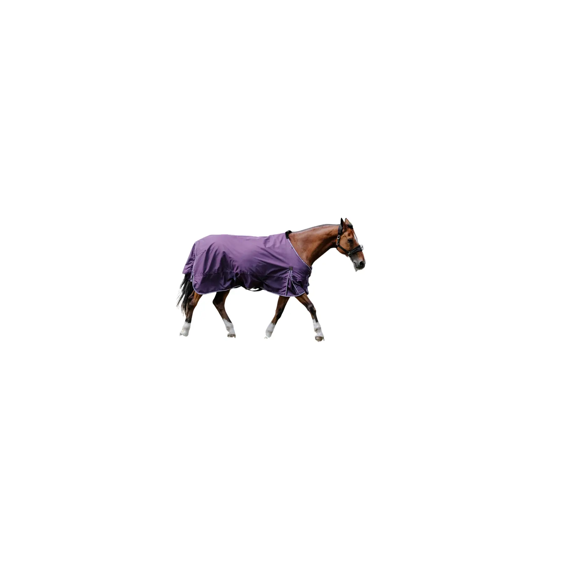 Standard Außendecke für Pferde Equithème 600D Tyrex Aisance 300g