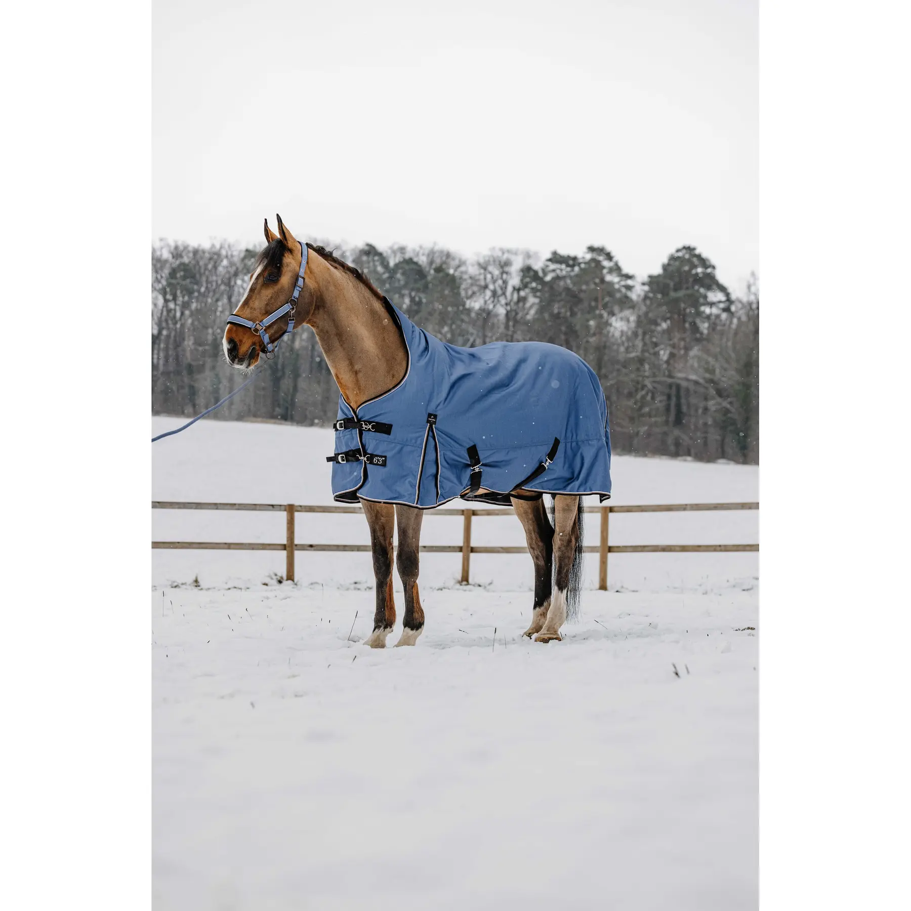 Coperta Equithème Tyrex-AIsance High Neck 1200D