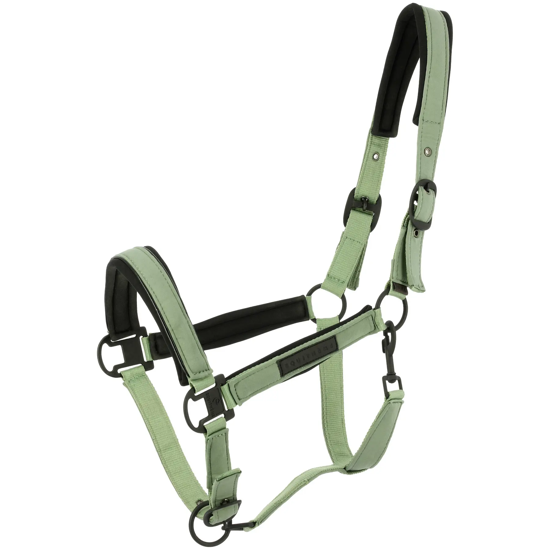 Halfter für Pferd Equithème Pearl