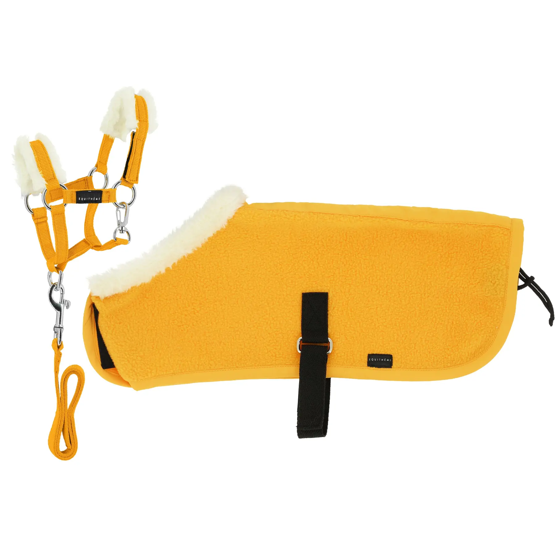 Ensemble licol et longe + couverture Equithème