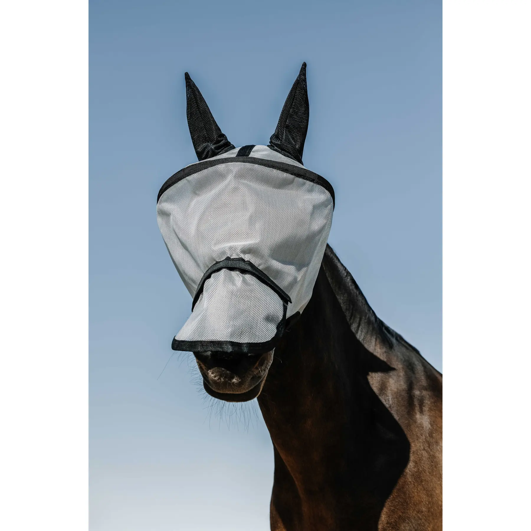 Cuffietta per cavalli Equithème ANT-M.A.UV.Protec