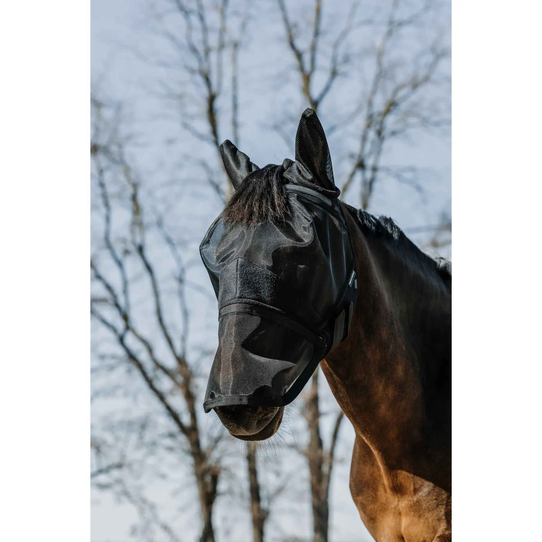 Cuffietta per cavalli Equithème A-M.A.UV.2 EN 3