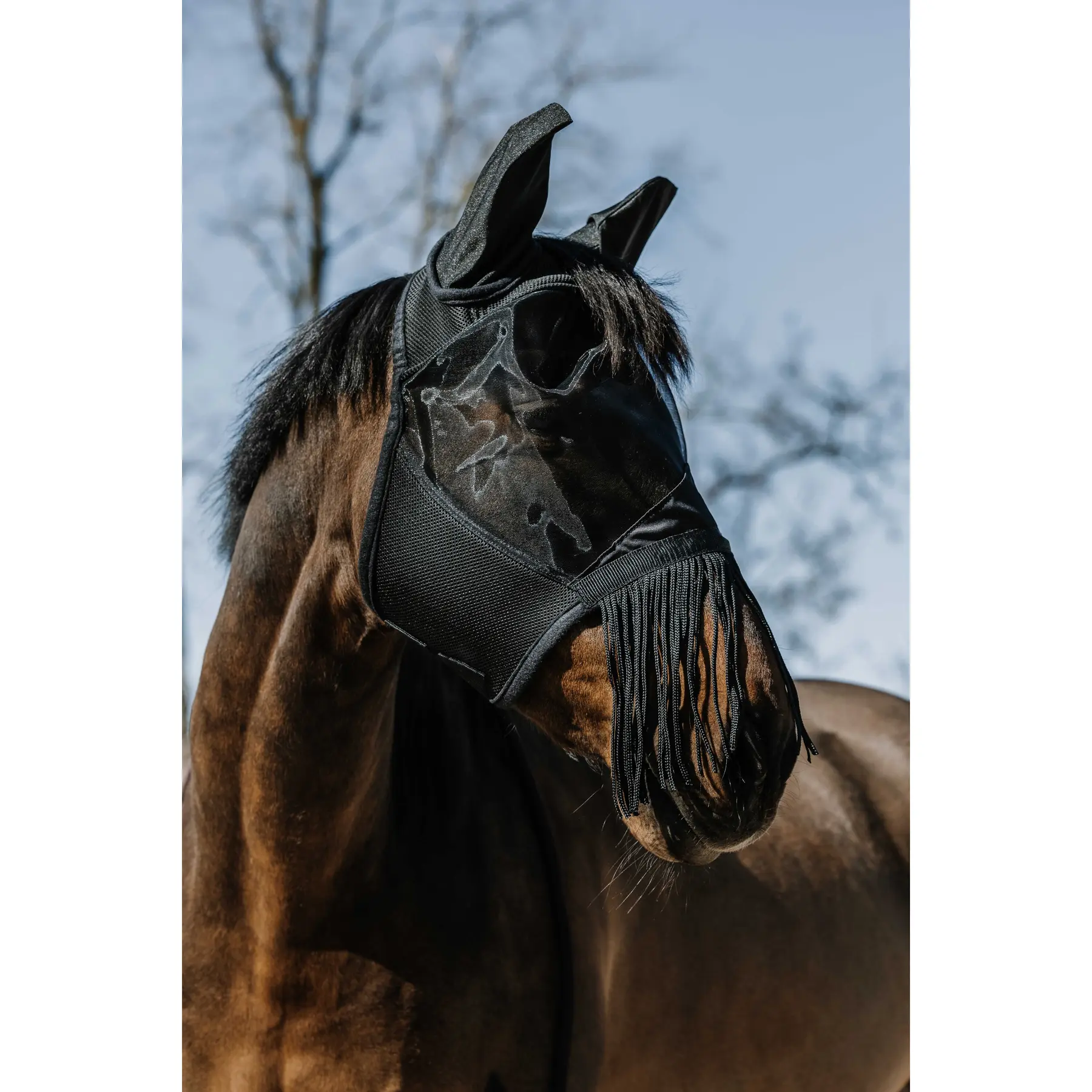 Cuffietta per cavalli Equithème A-M.A.UV.Franges