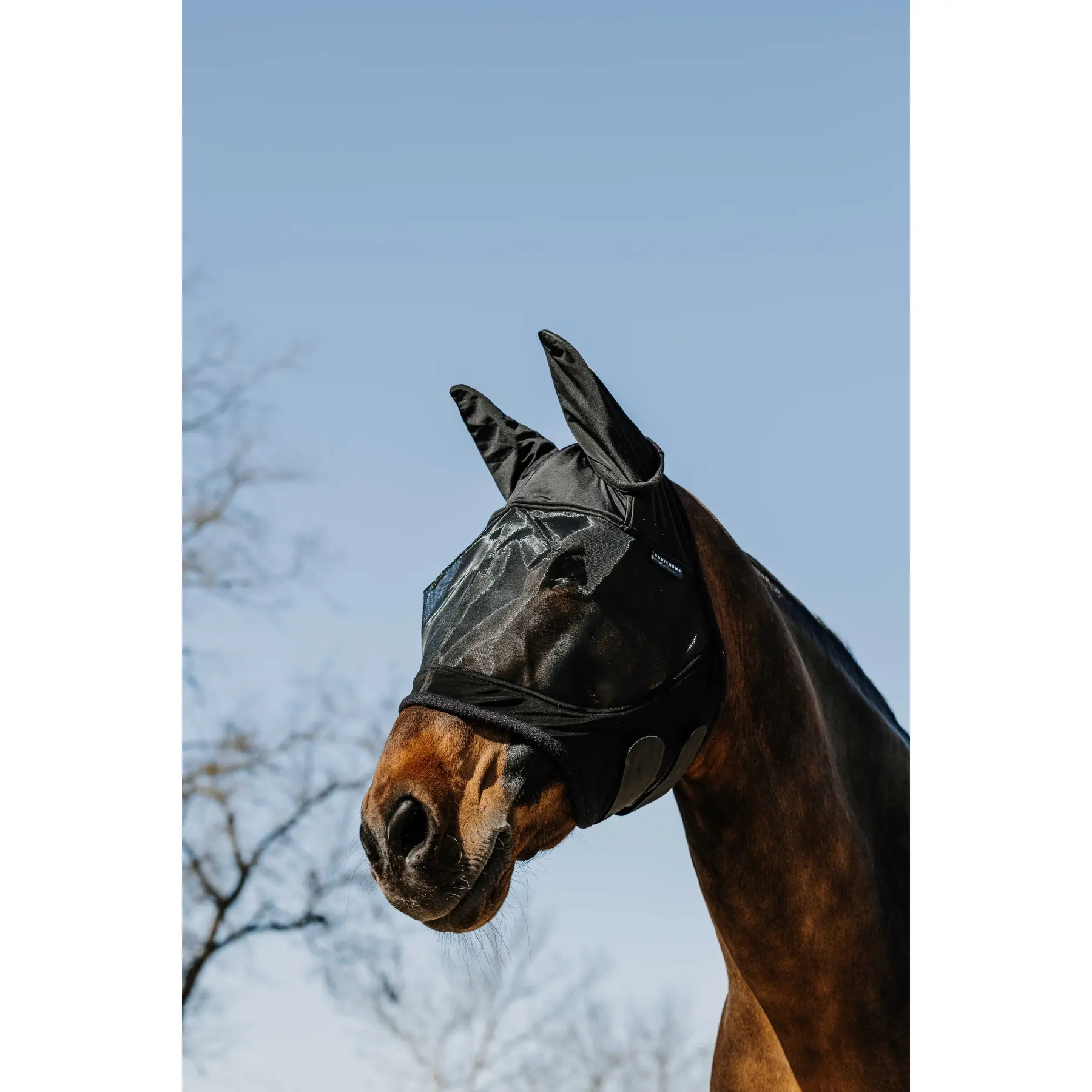 Cuffietta per cavalli Equithème A-M.A.UV.SOFT