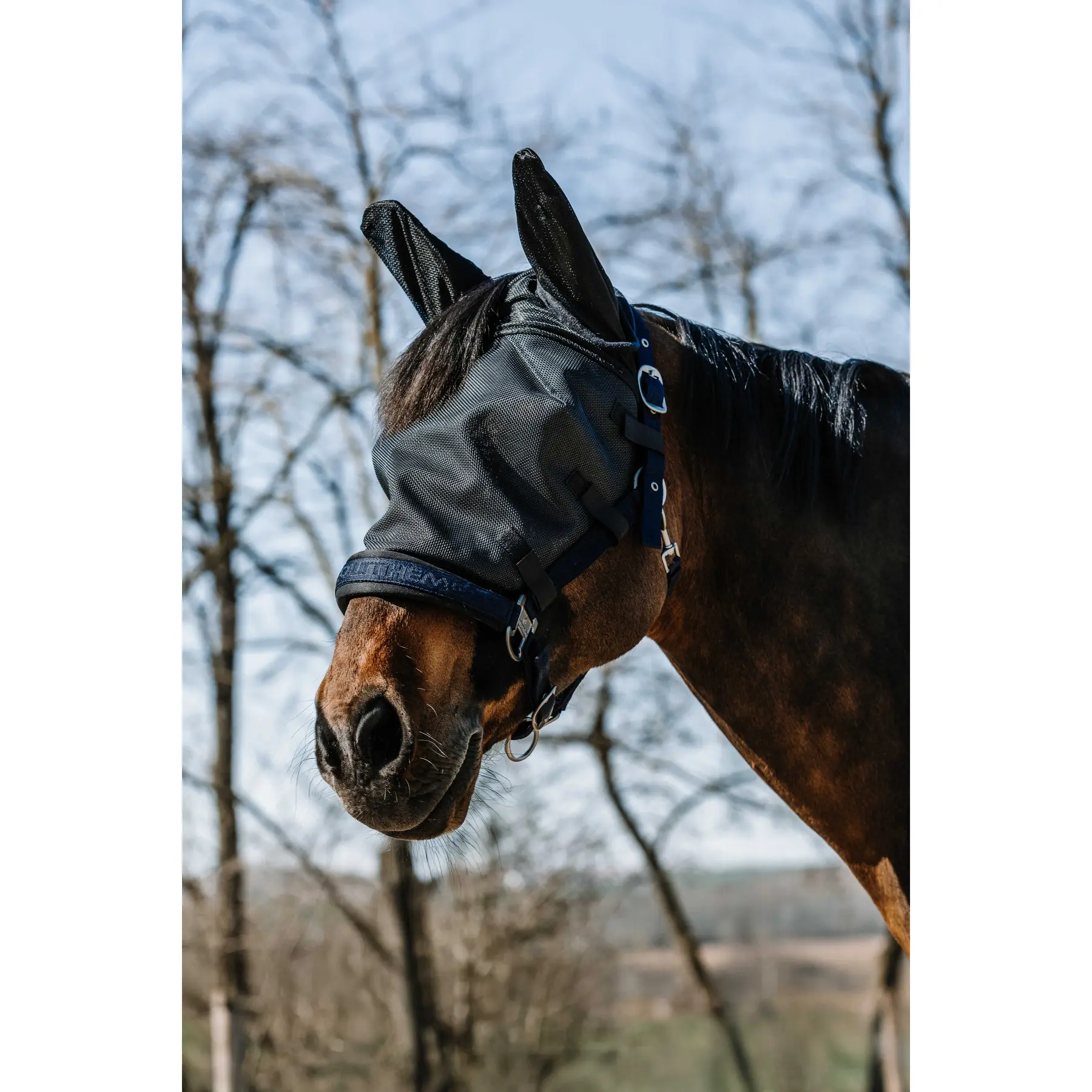 Cuffietta per cavalli Equithème A-M.A.UV. Halter