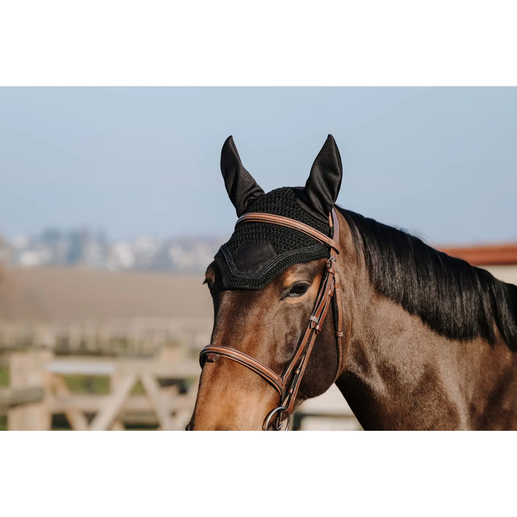 Bonnet pour cheval Equithème Badge