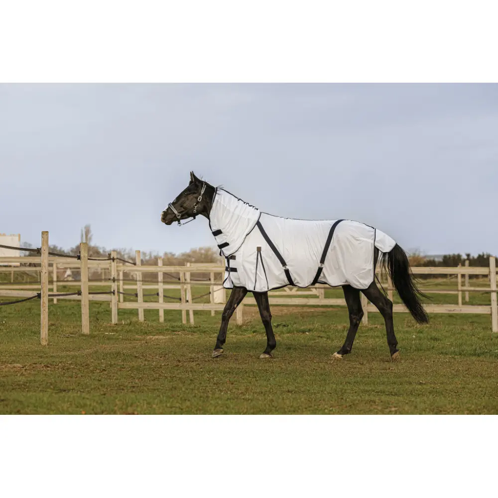 Copertura anti-zanzare per cavallo in mesh Equithème Combo