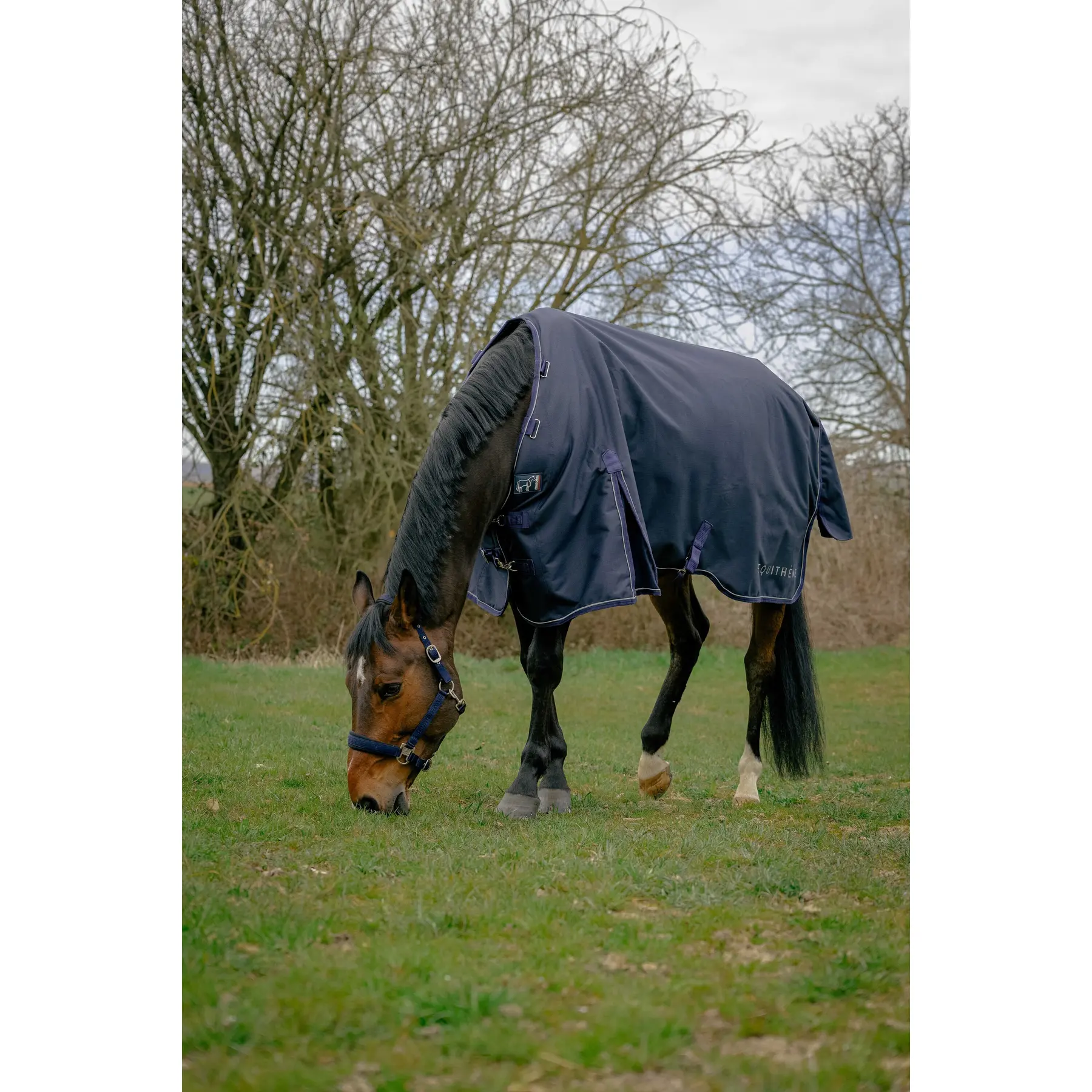 Coperta da paddock per cavalli Equithème Anatomic 1200D AI 50 g