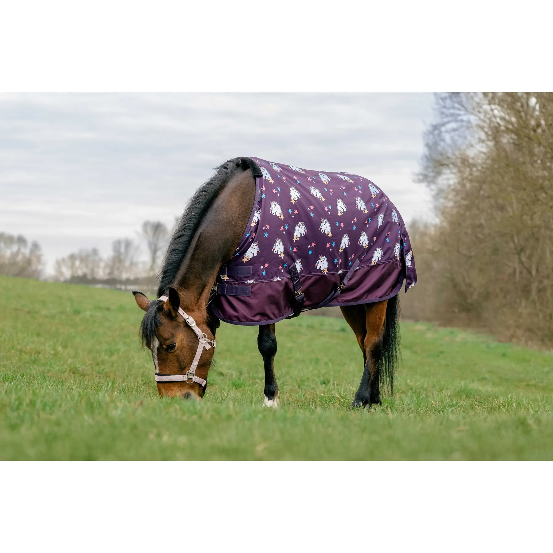 Coperta da paddock per cavalli Equithème Licorne 600 STD 220 g
