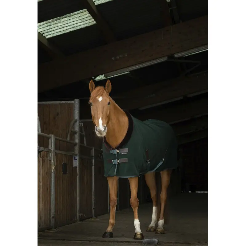Coperta per cavalli Equithème Teddy 0g