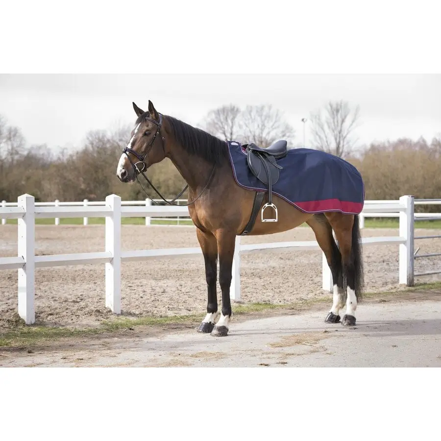 Equithème Bleu Couverture D'extérieur Pour Cheval Tyrex 600 D 150G