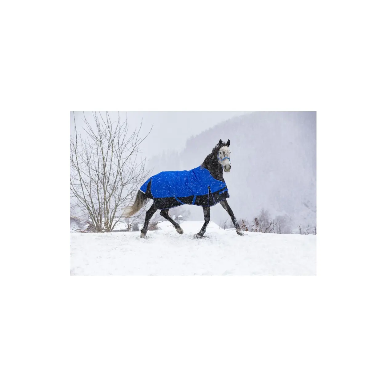 Outdoor horse blanket Equithème Tyrex 1200D Aisance 50g