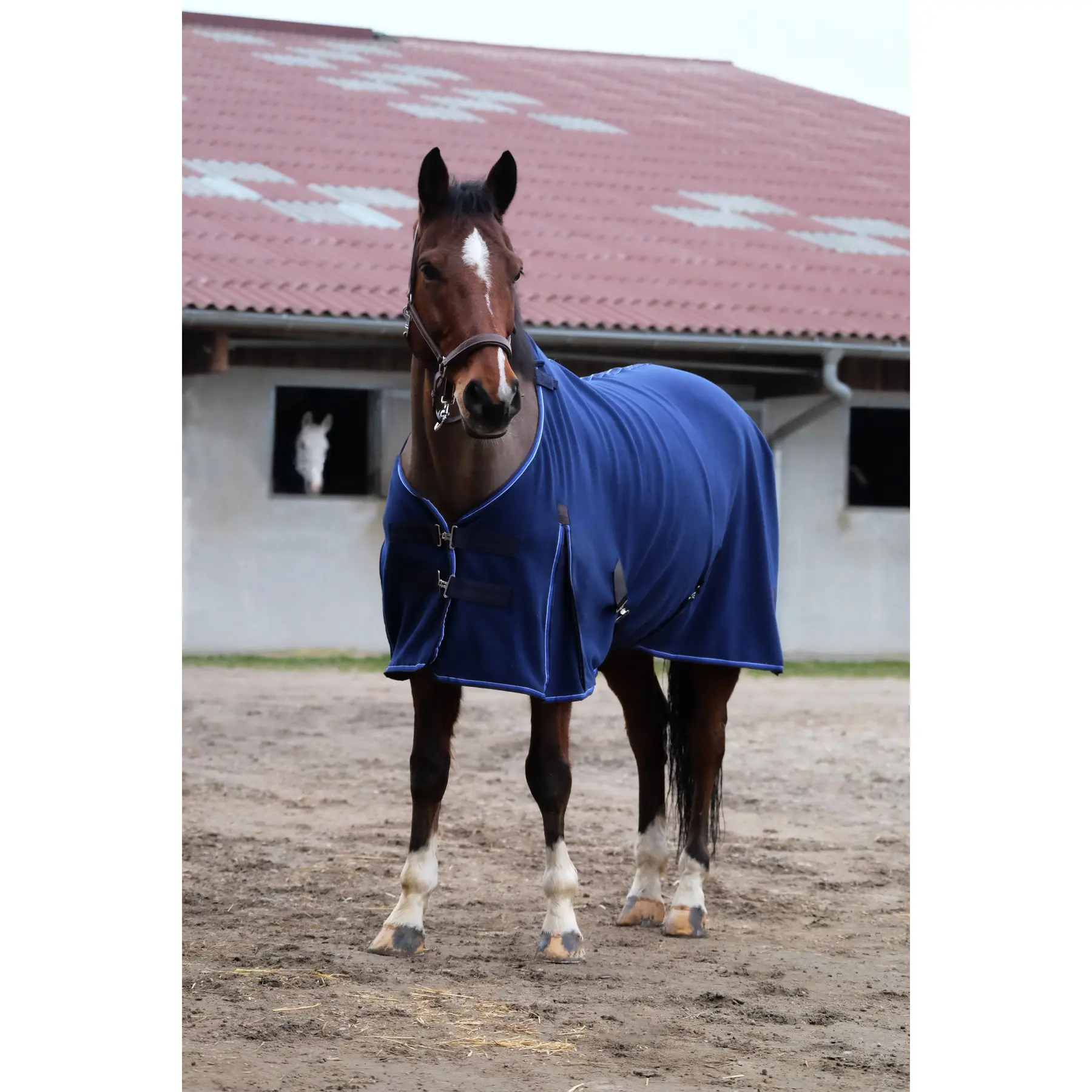 Fleece-Pferdehemd Equithème Classic