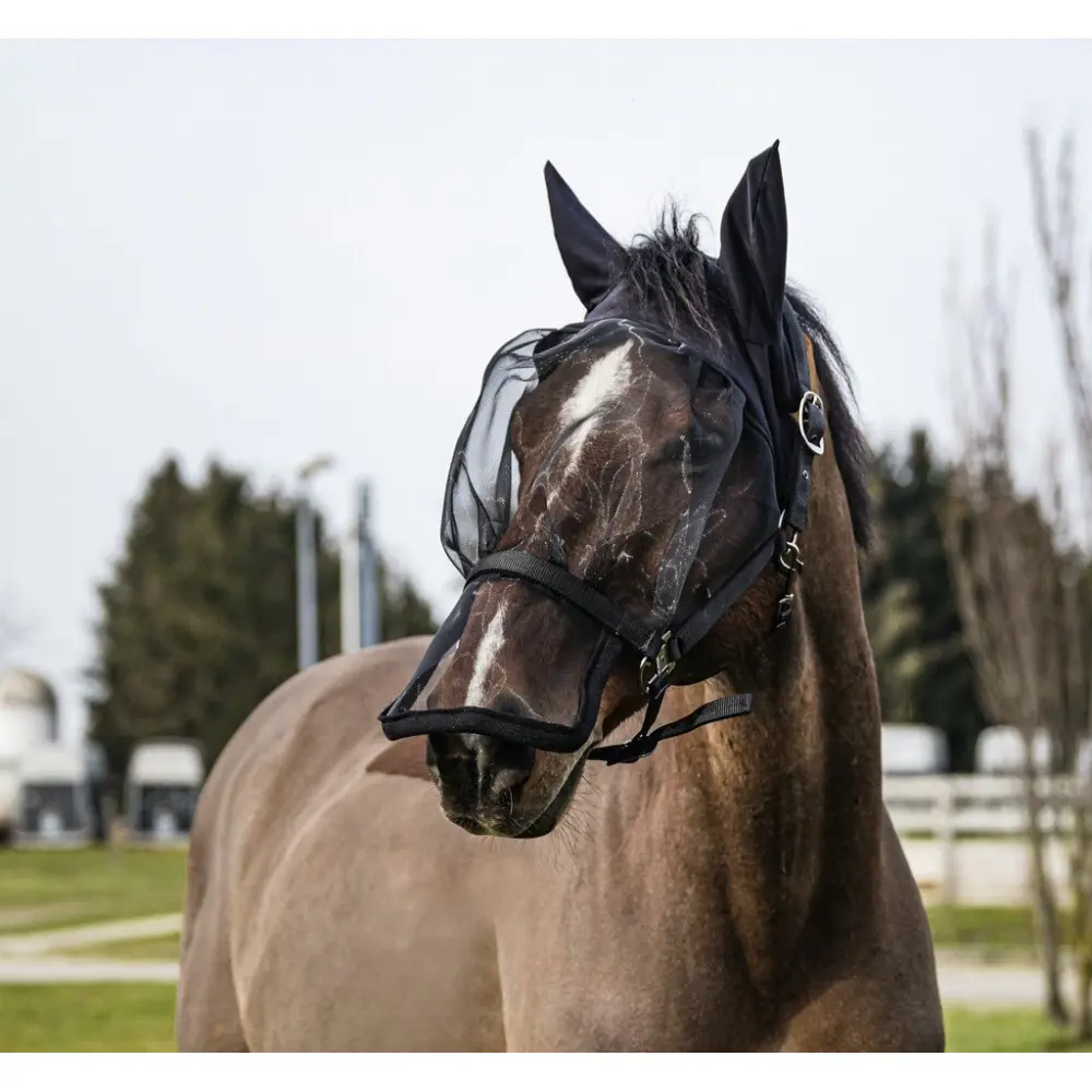Cavezza e maschera anti-fly uv per cavalli Equithème