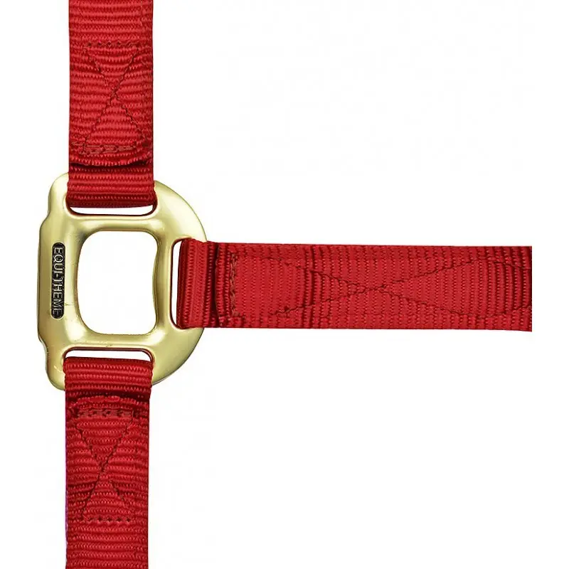 Halter for horse Equithème Nylon