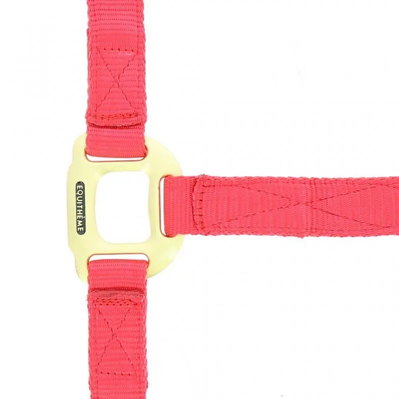 Halter for horse Equithème Nylon
