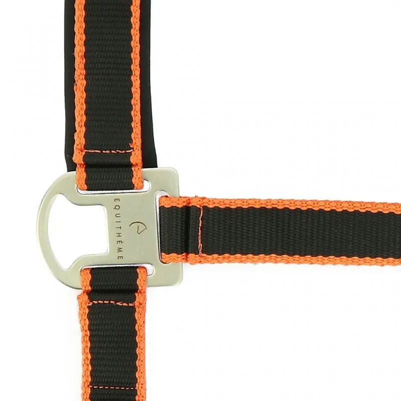 Equithème Noir Licol Pour Cheval Satiné