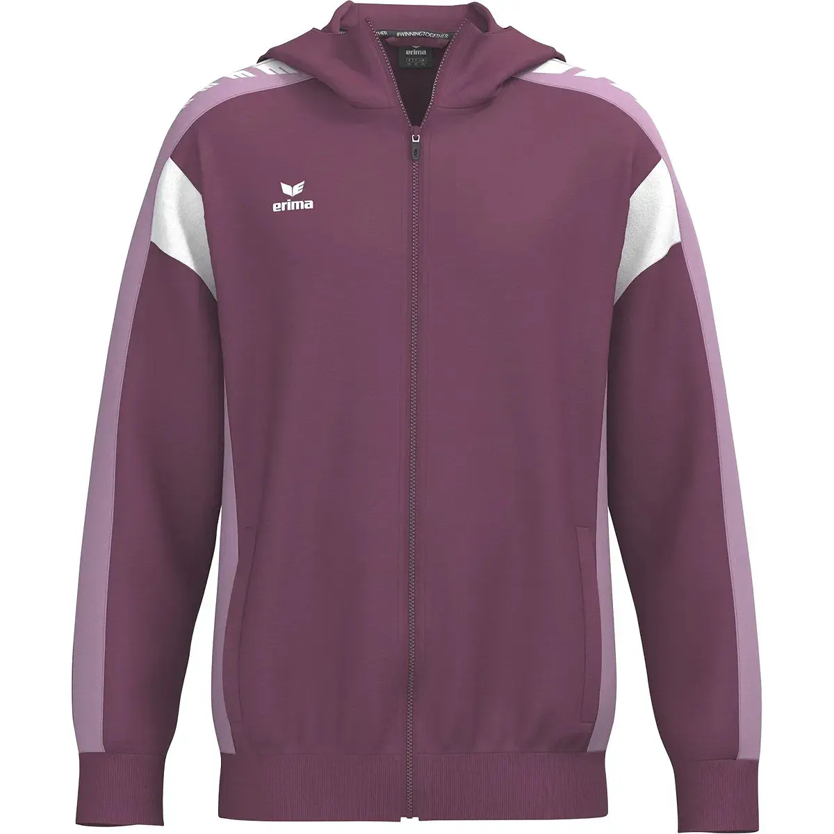 Hoodie Erima Celebrate 125 Training