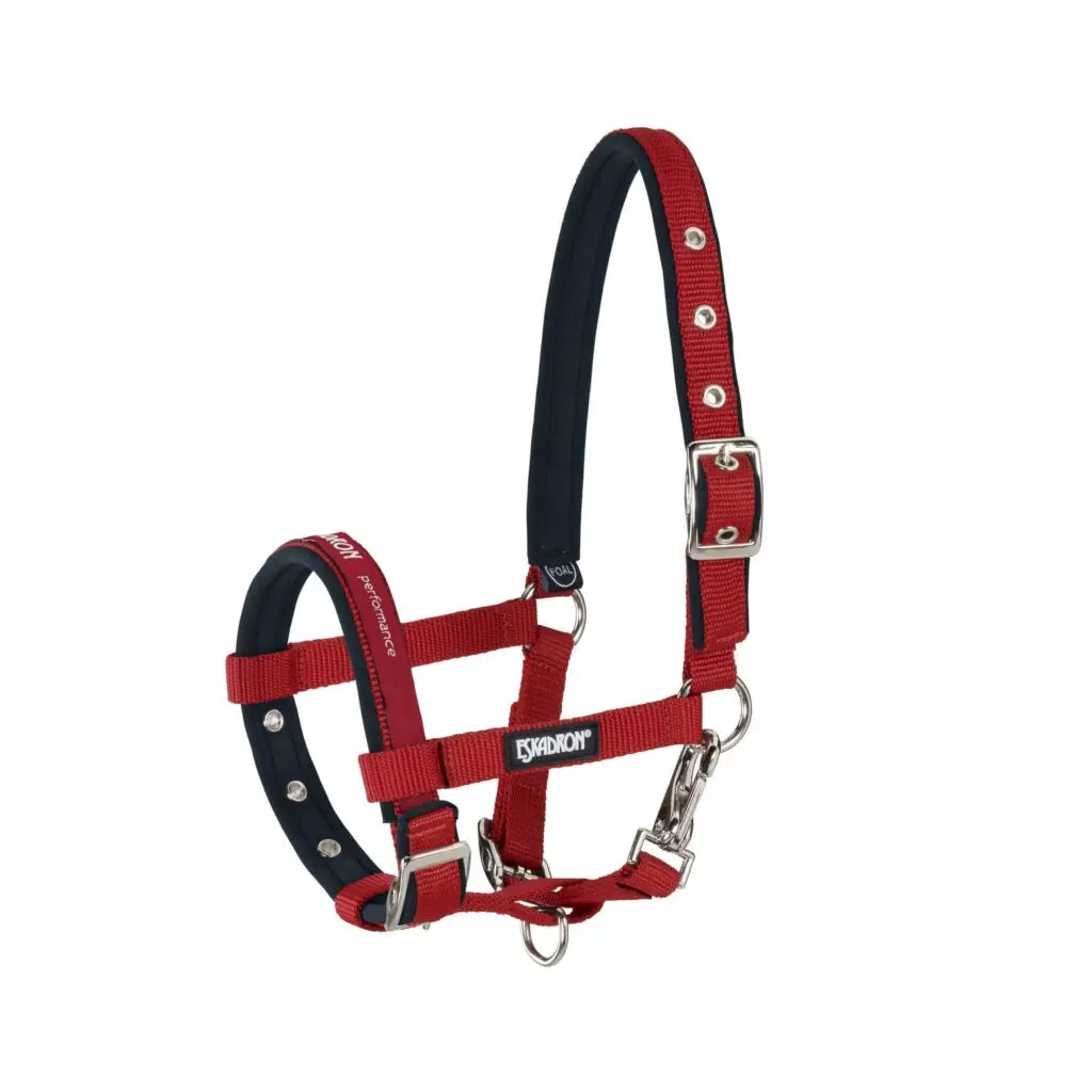 Pony halter Eskadron