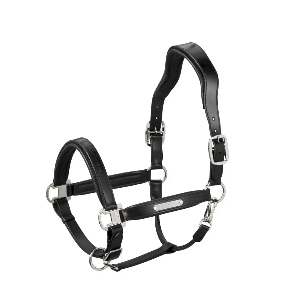 Leather halter for horse Eskadron Stallion
