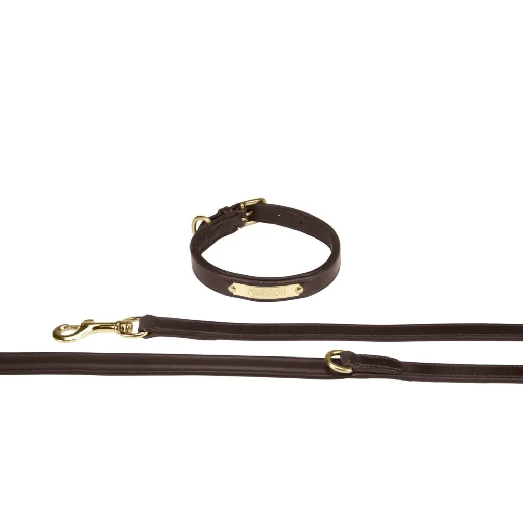 Dog leash and harness Eskadron