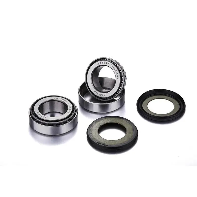Komplettes Radlager-Kit für das Hinterrad Factory Links