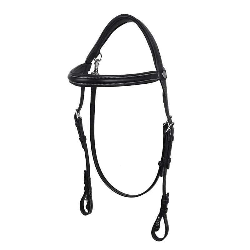 Bridles for horses Flags&Cup Freedom