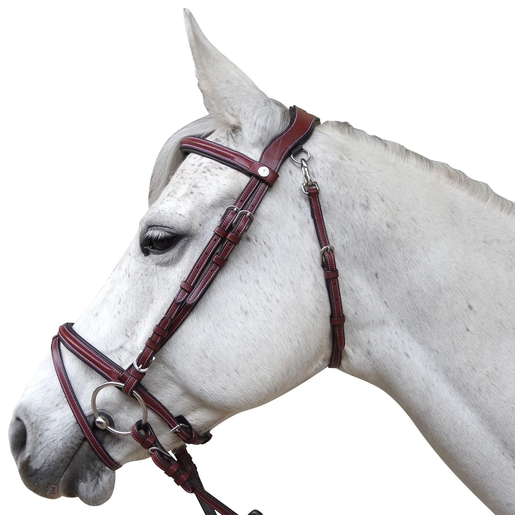 Bridles for horses Flags&Cup Lanaken
