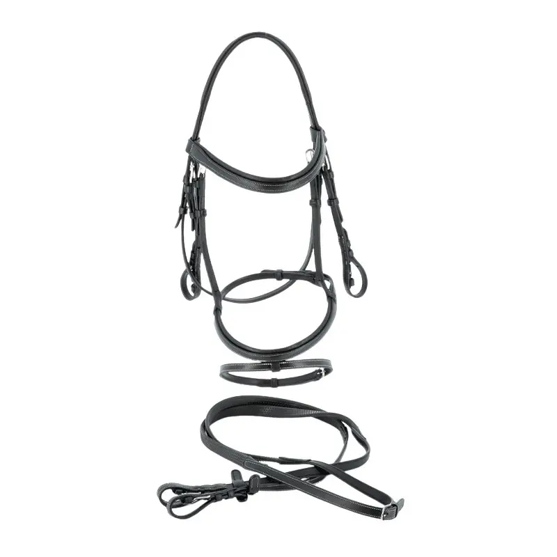 Riding bridles Flags&Cup Göteborg
