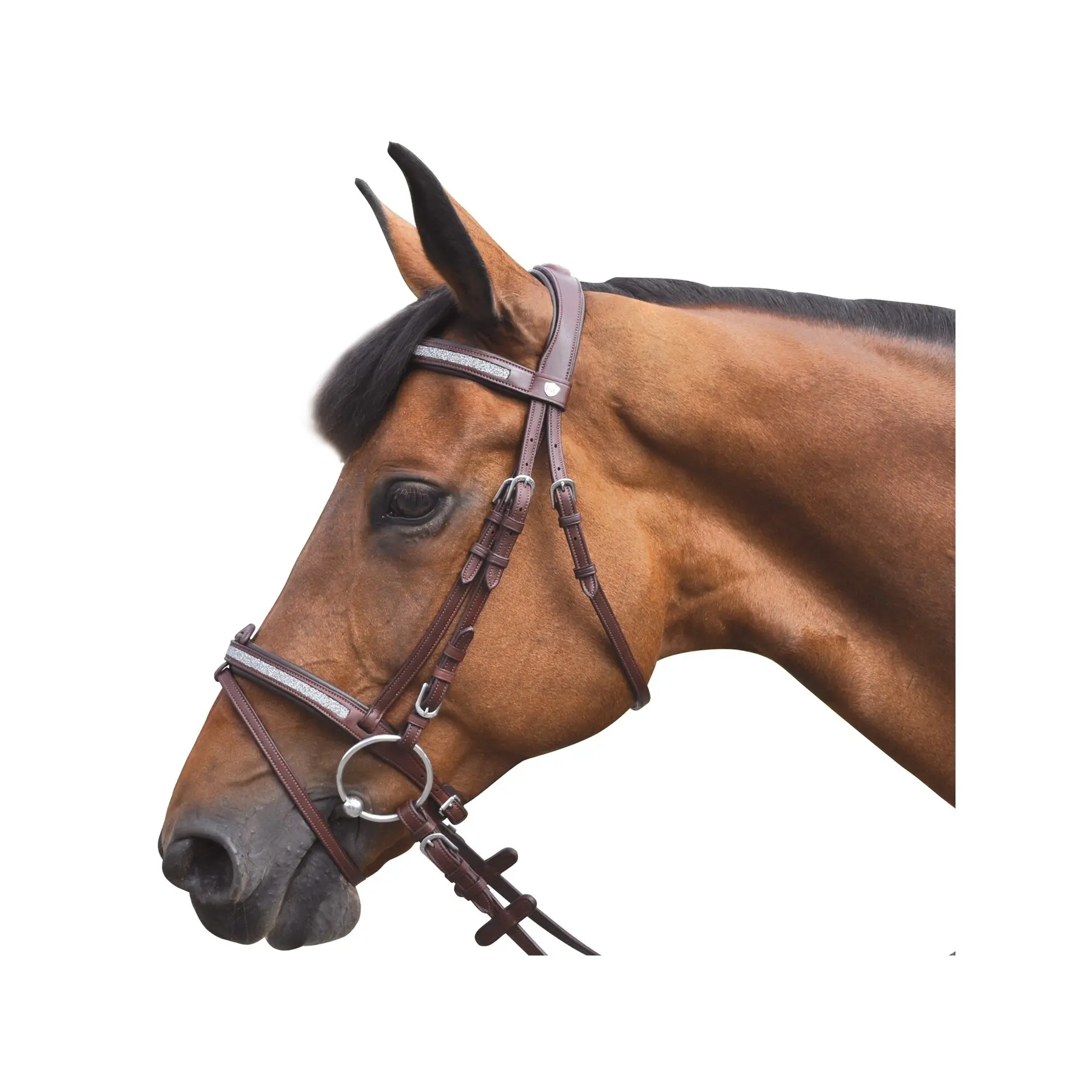 Riding bridles Flags&Cup Kitsi