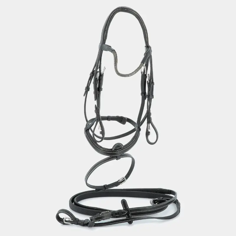 Riding bridles Flags&Cup Doha